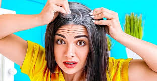 Cheveux blanc : le remède pour les couvrir de façon naturelle : inutile  d'utiliser des produits chimiques