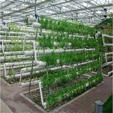 Sp Ht Pvc Rohr Nft Hydrokultur Wachsen Turm System Fur Gewachshaus Buy Hydrokultur Turm System Hydrokultursysteme Pvc Rohr Hydrokultur System Product On Alibaba Com