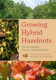 Someone may steal my idea! no idea is unique or props up only in one single originally answered: Growing Hybrid Hazelnuts The New Resilient Crop For A Changing Climate Amazon De Rutter Philip Wiegrefe Susan Fremdsprachige Bucher