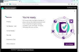 Project is a 501 (c) (3) nonprofit based in … Download Tor Browser 10 5 6 For Windows Filehippo Com