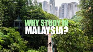 Upm university malaysia has more than 80% of the academic staff hold phd degrees. Study Abroad At Universiti Putra Malaysia Asia Exchange