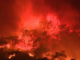 Samra teague captured this photo of the cherry gardens bushfire from near willunga.(supplied: Adelaide Hills Bushfire Cherry Gardens Fire Updated To Contained