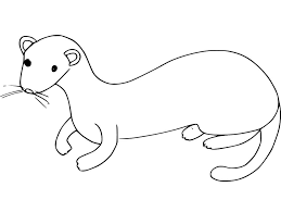 Coloring books aren't just for kids: Sivwbqr0jfcxsm