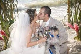 Schnauzers Special Wedding Gifts Schnauzer Art Schnauzer Puppy