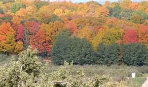 Maybe you would like to learn more about one of these? 2021 Fall Color Map Fall Color Report Travel Wisconsin