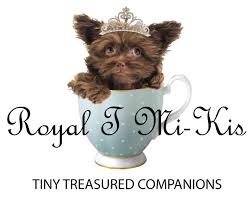 If there is a specific color, sex, or coat type please. How To Care For Your New Mi Ki Puppy Royal T Mi Kis