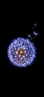  Samsung Wallpaper Image By Free Ringtones Mobile On Descargar Fondos De Pantalla Hd Gratis Samsung Galaxy Wallpaper Galaxy Wallpaper