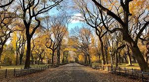 View listing photos, review sales history, and use our detailed real estate filters to find the perfect place. Central Park Was Gibt Es Zu Sehen The Sightseeing Pass