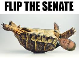 What we are doing, is asserting that mitch mcconnell is, literally, biologically, a tortoise. the biggest contextual payoff was saved for the end, when stewart pointed out the comparison mcconnell drew between his icy relationship with president obama and the one ronald reagan shared with. Why Does He Look So Much Like A Turtle Lmao Imgur