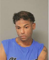 ᐅ Illinois Criminal Records 2009-2025