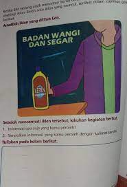 Kunci jawaban tema 9 kelas 5 halaman 165 ini ditujukan untuk membantu orang tua mengoreksi jawaban saat anak belajar di rumah. Informasi Apa Saja Yang Kamu Peroleh Simpulkan Informasi Yang Kamu Peroleh Dengan Kalimat Sendiri Brainly Co Id