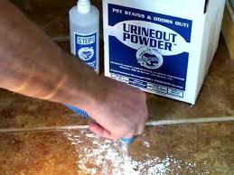Clean Dog Urine From Tile Video 2 Youtube