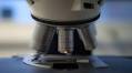 AI Technology Shows Promise in Detecting Cancer Missed by Physicians