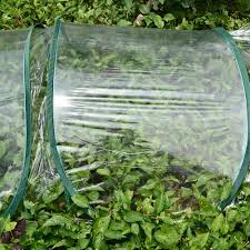 Extending the growing season in many great lakes states' gardens is essential if quality vegetables and seed are to be successfully grown. Garden Tunnel Greenhouse Plants Metal Frame Protector Roof Panels Foil Hothouse For Planting Vegetable Seedling Plant Covers Aliexpress