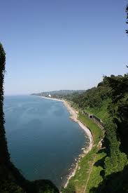 Check spelling or type a new query. File Batumi Botanical Garden 25 Jpg Wikimedia Commons