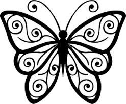 Gambar sketsa kupu kupu sederhana ini bisa anda mulai dengan membuat bulatan yang bisa anda jadikan kepala. Berbagai Gambar Kupu Kupu Untuk Belajar Anak Anak Serba Serbi Djawanews Com