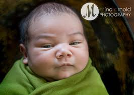 Mina Arnold Photography