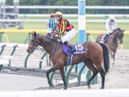 Official account of nhk, japan's public broadcaster. Dgvthquzrt8wum