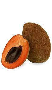 Mamey tree grafted in a 3 gallon container. Mamey Tree Grafted