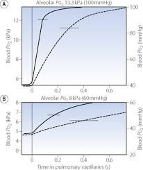 Image result for Diffusing Capacity