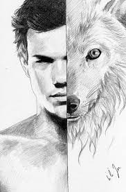 Jacob Black Twilight Wolf Twilight Jacob Jacob Black Twilight