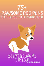 Golden retriever wishes happy birthday. 75 Pawsome Dog Puns For The Ultimutt Dog Lover