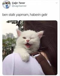 Yeliz Arslan Adli Kullanicinin Komik Panosundaki Pin 2020 Komik Hayvan Alintilari Komik Metinler Komik Seyler