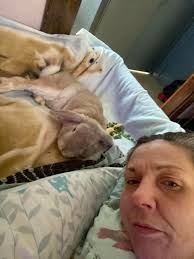 Adopting a Foster Bunny in Wisconsin