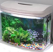 Rs Moulded Glass Aquarium 70l Black Amazon In Pet Supplies
