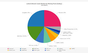 bch future in rawpools hands mining pool dominates network