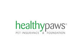 The Best Pet Insurance Reviews By Wirecutter