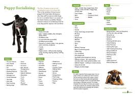 puppy socialisation a free downloadable checklist for you