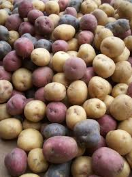 Pin On Maine Where My Heart Is