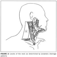 It usually presents itself in an advanced stage and. Head And Neck Tumors