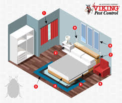 In fact, while dealing with bed bugs it's best not to sleep away from home. We Remove Bed Bugs From Your Home Or Business Viking Pest Control