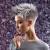 Silver Short Grey Hair