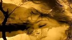 Resultado de imagen para "Armando Manzanero" Adoro