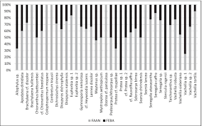 Image result for Heywoodia