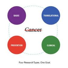 Translational Preventative Clinical Basic Science Cancer