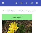 Image of نبات الحوذانيات