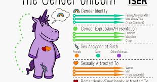 defining gender sexuality identity gender unicorn