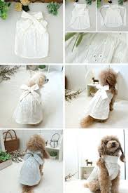 楽天市場 new arrival toi et moi フェアリーレースワンピース ssサイズ niche 雑貨 犬服 ニーシェ 猫の洋服 子犬の服 犬