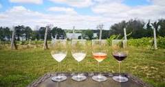 Home | longrid estates vineyards ＆ winery