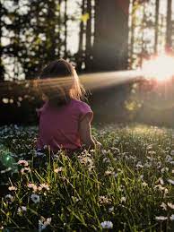 Best Life Pictures Hd Download Free Images On Unsplash Ye whatsapp dp aap whatsapp dp for friends group and creative whatsapp dp hai aap chahe to inn inspirational whatsapp dp download kar sakte hai hum iss article ke niche saare category ke beautiful whatsapp dp images.