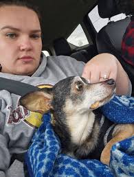 affordable bmx bike tube replacement?