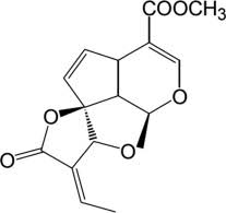 Image result for Strophanthus welwitschii