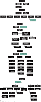 Medical Control Direction And Oversight Cooneys Ems