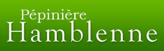 Pepinieres Hamblenne Liste Des Prix Pepinieriste Namur Belgique