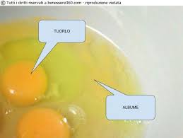 La sua funzione è quella di fornire il nutrimento necessario all'embrione. Albume D Uovo
