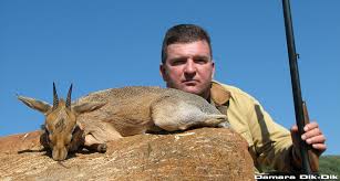 We did not find results for: Hunting Namibia